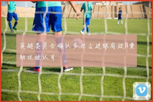 英超委员会确认多尔古进球有效B费助攻被认可
