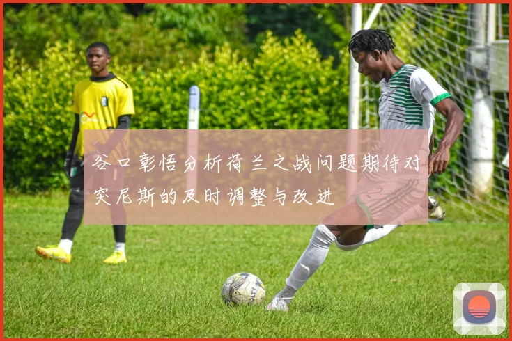 谷口彰悟分析荷兰之战问题期待对突尼斯的及时调整与改进